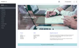 Screenshot of consultant proposal template