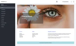 Screenshot of beauty proposal example