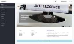 Screenshot of business intelligence proposal example