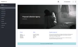 Screenshot of collection agency proposal example