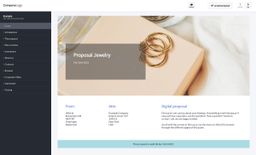 Screenshot of jewelry proposal example