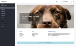 Screenshot of loyalty programs proposal example