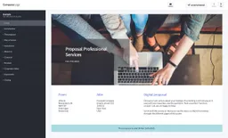 Professional services example business proposal made with a proposal application