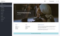 Screenshot of video advertising proposal example
