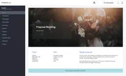 Screenshot of wedding proposal example